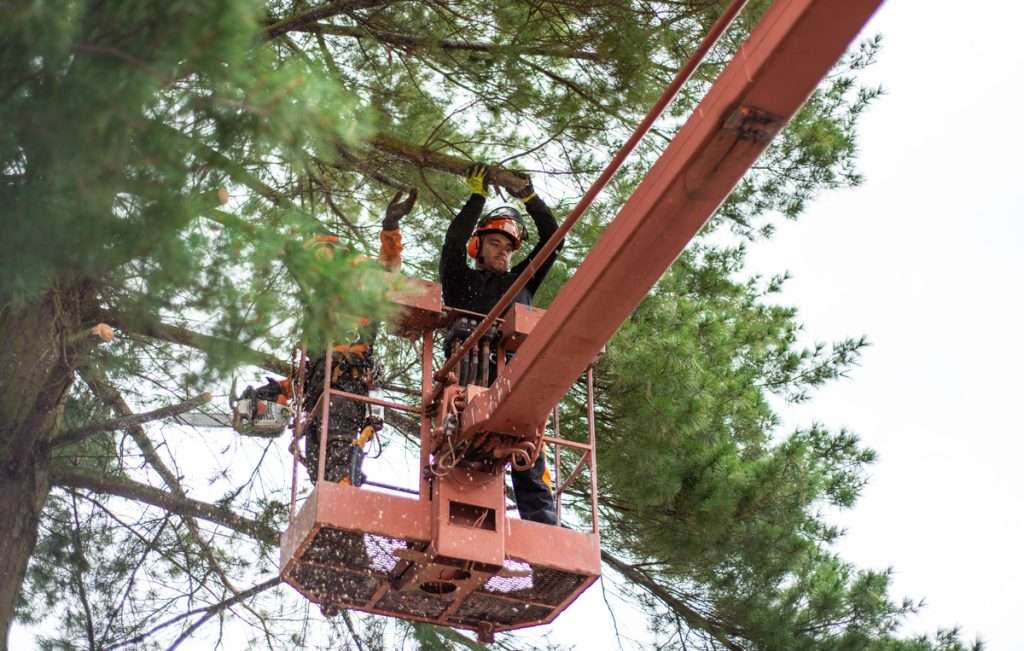 arborist-men-with-chainsaw-and-lifting-platform-cu-2021-08-27-16-15-11-utc-1